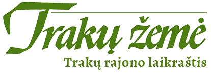 partner icon