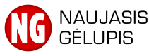 partner icon