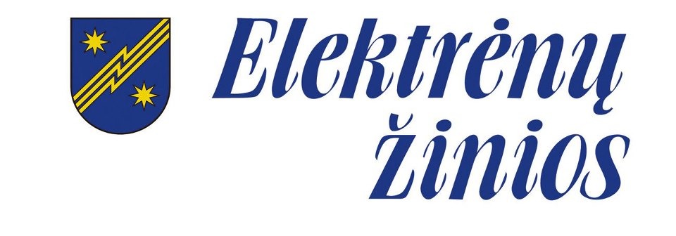 partner icon